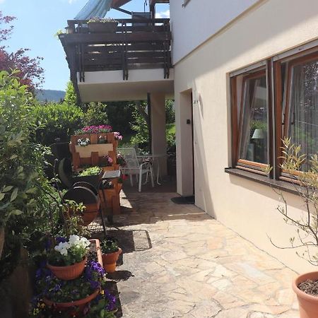 Ferienwohnung Pimer Ranschbach 外观 照片