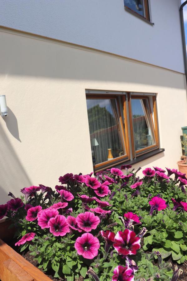 Ferienwohnung Pimer Ranschbach 外观 照片