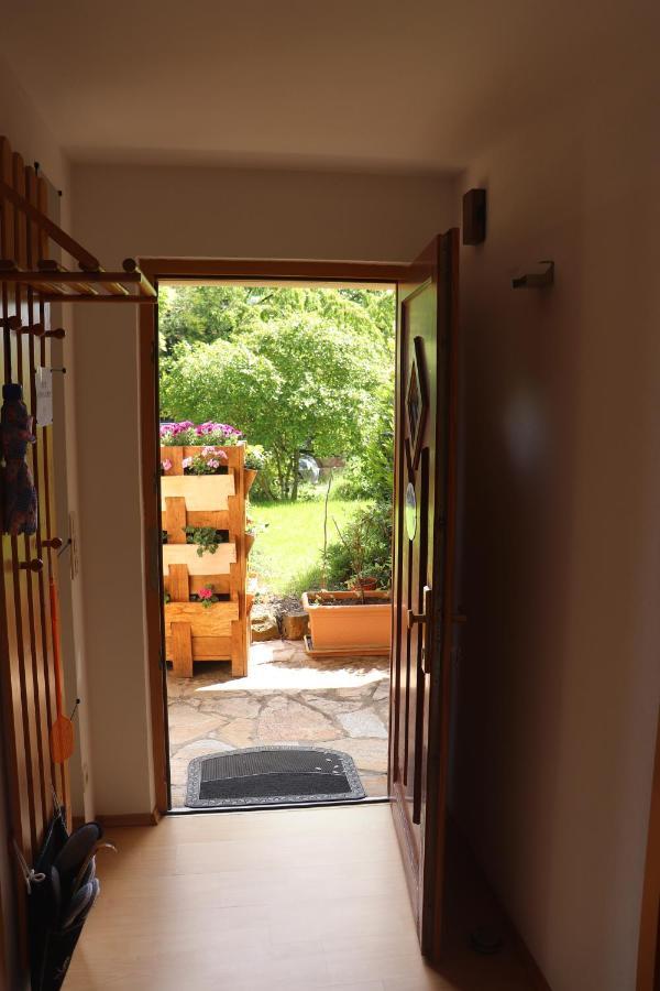 Ferienwohnung Pimer Ranschbach 外观 照片