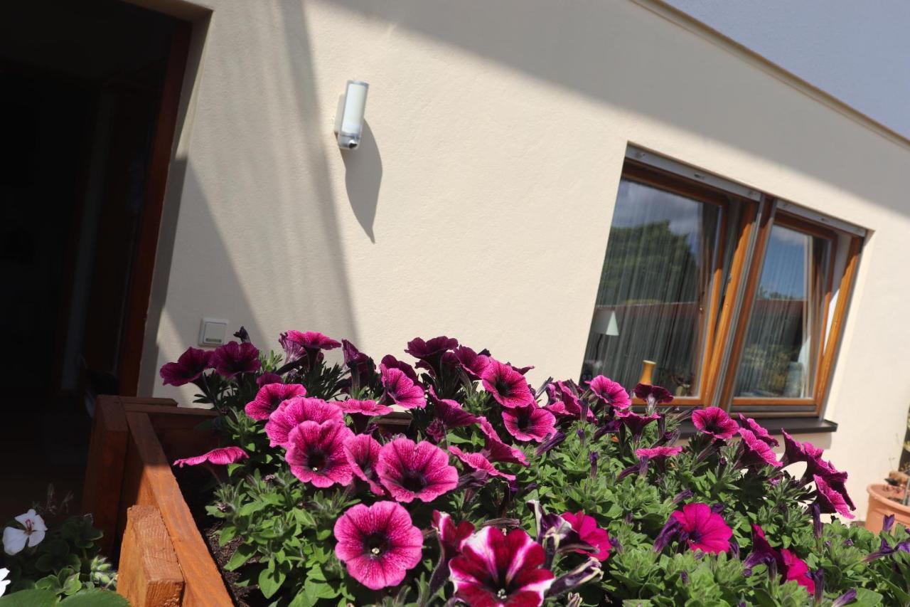 Ferienwohnung Pimer Ranschbach 外观 照片